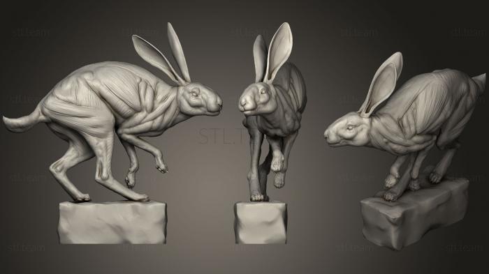 Статуэтки животных Rabbit POSE1